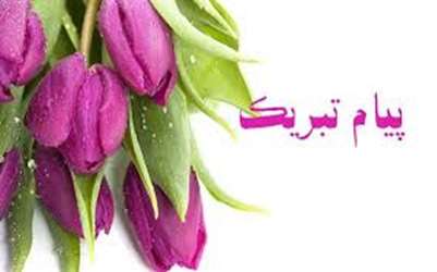 دانشجویان دانشگاه علوم پزشکی جهرم موفق به کسب عنوان «دانشجوی پژوهشگر برجسته کشوری شدند.